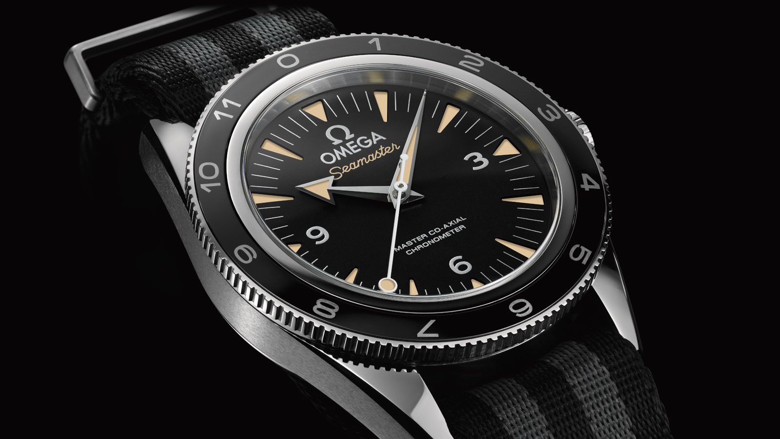 How the Omega Seamaster Spectre Limited Edition Became the Hottest